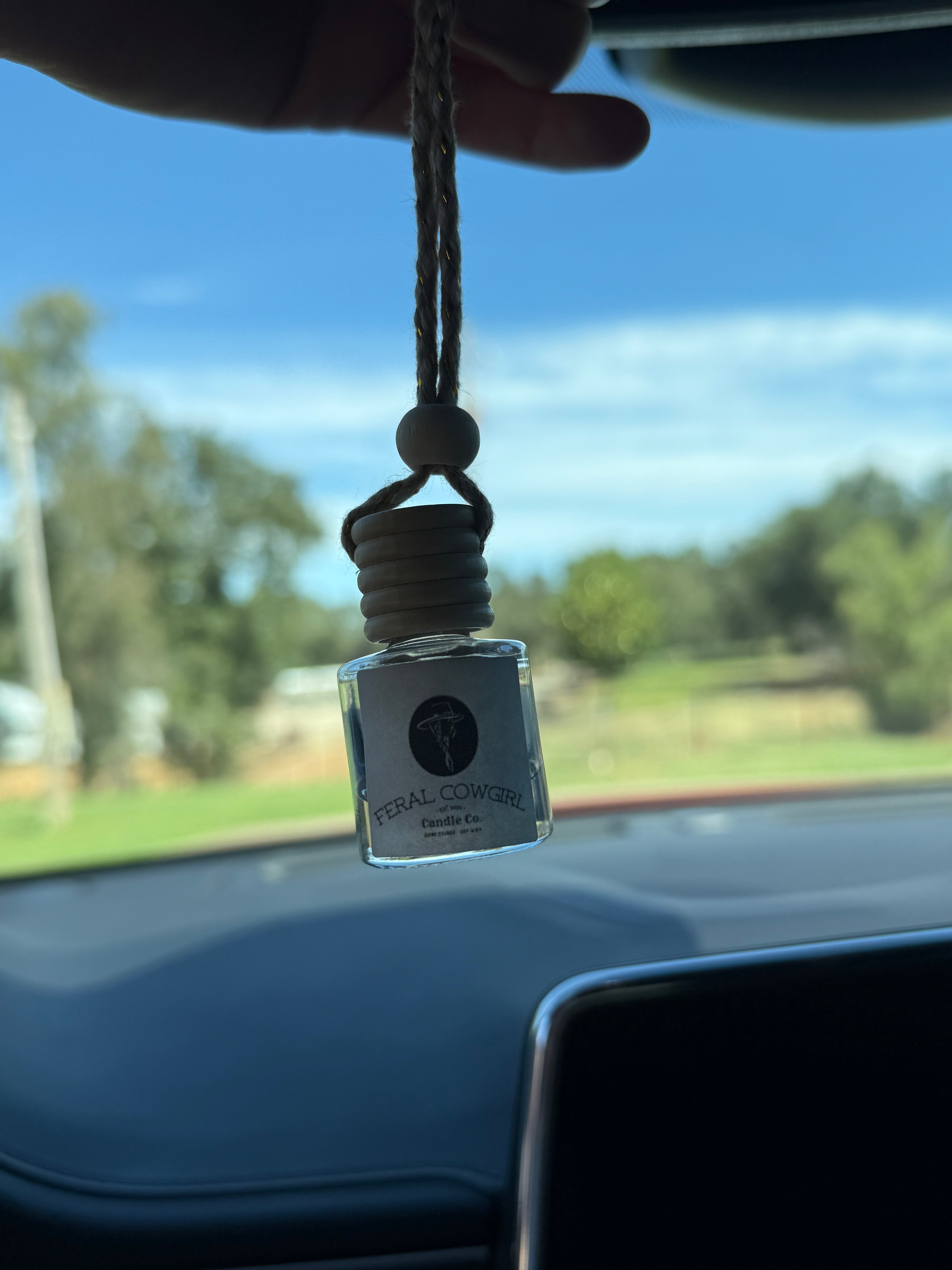 Car diffuser