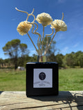 Matte Black Reed Diffuser
