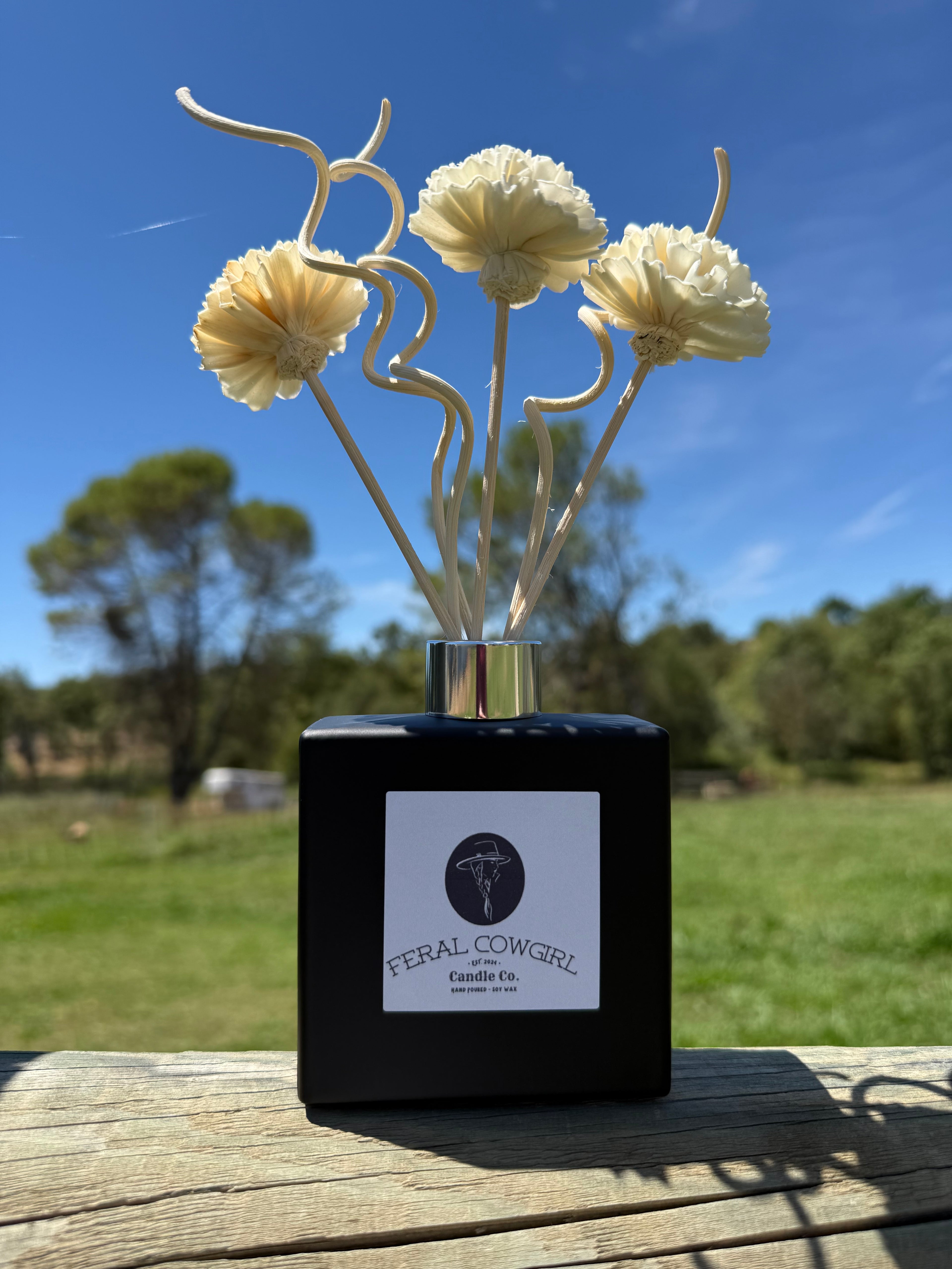 Matte Black Reed Diffuser