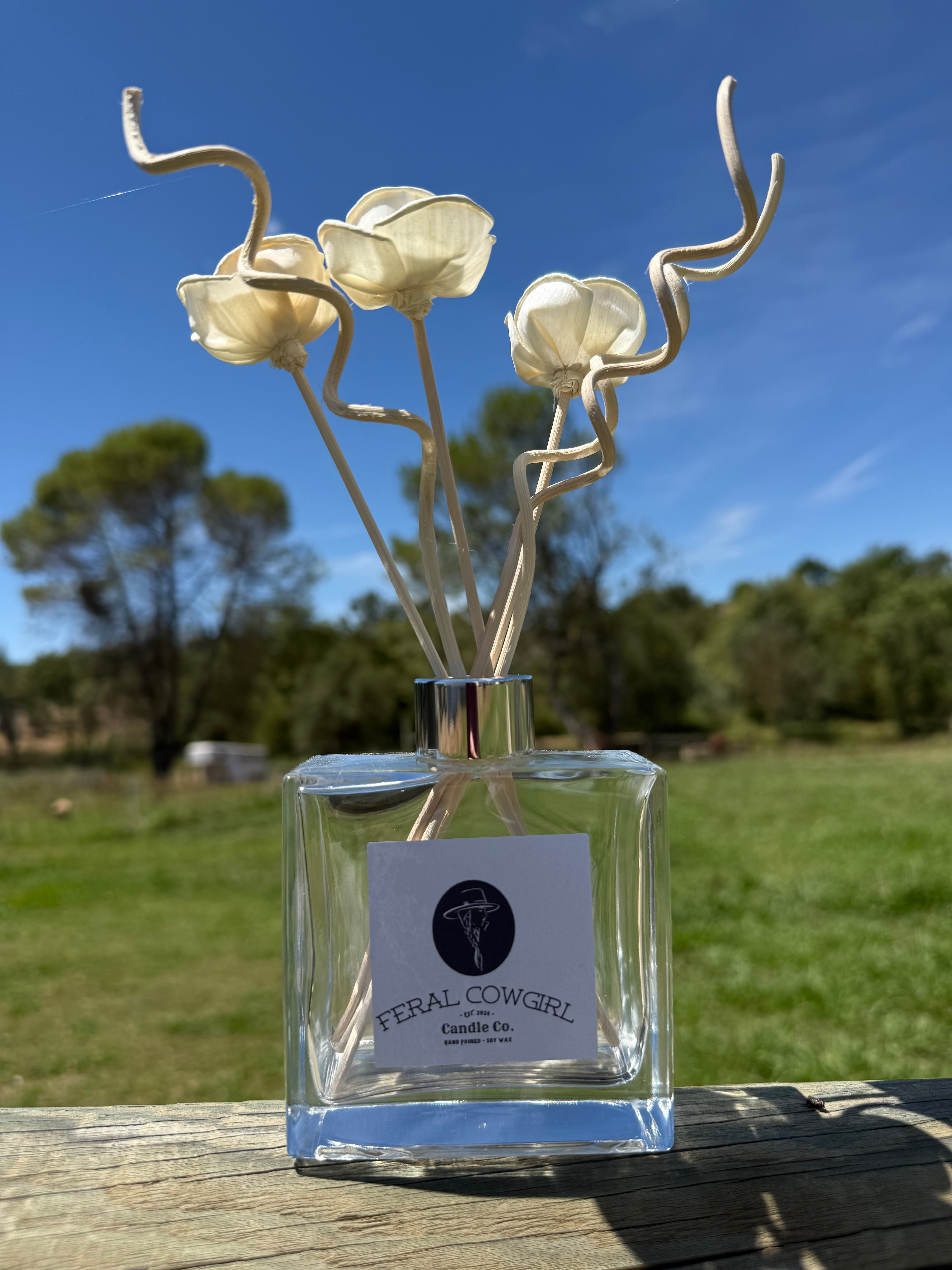 Clear Room Diffuser