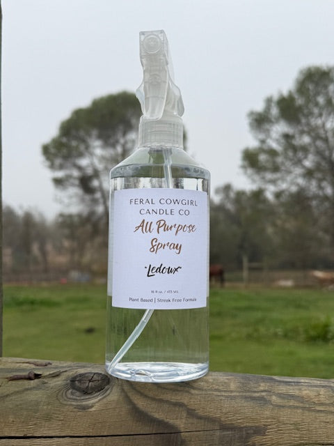 All Purpose Cleaner