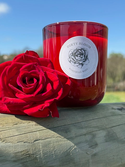 Dirty Bloom