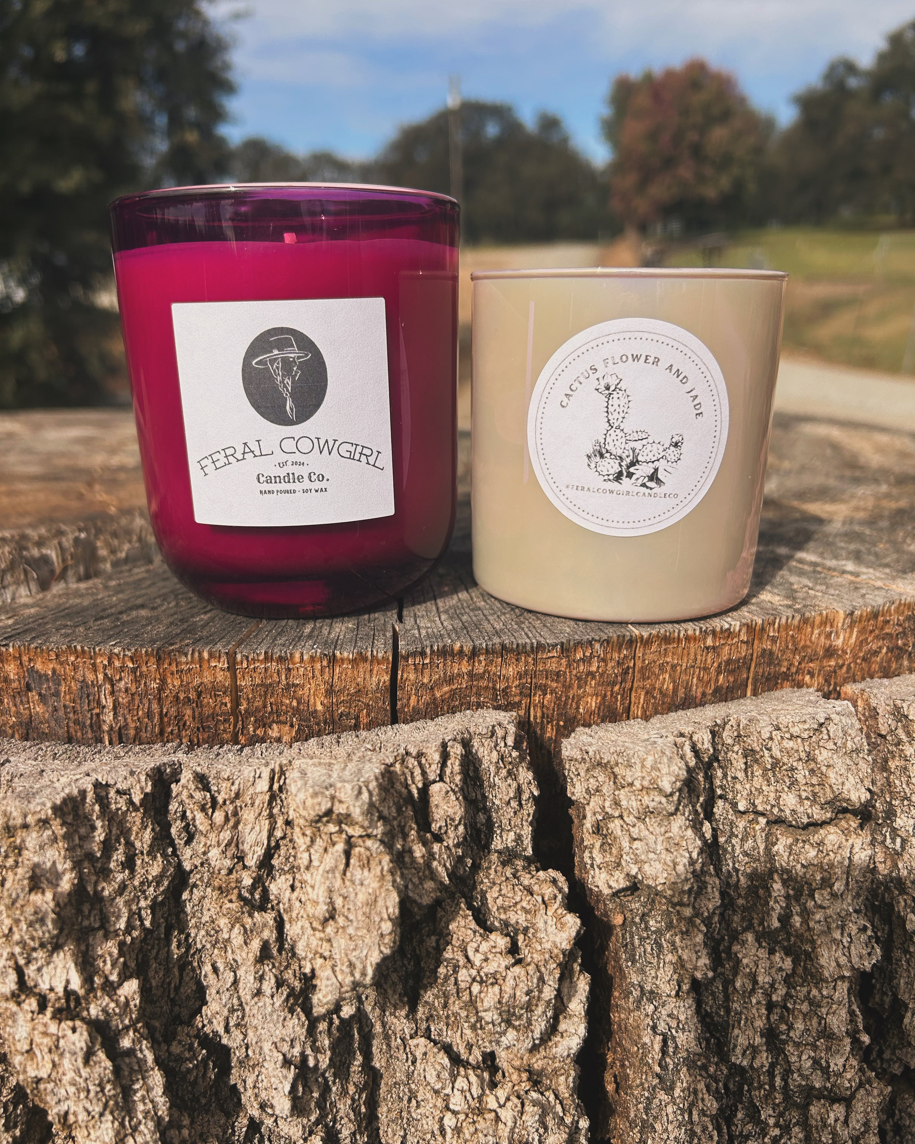 Cactus Flower & Jade